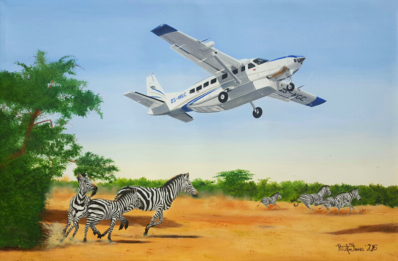Paul Treleven Fine Art - Aviation