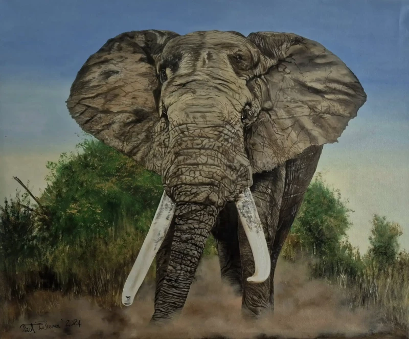 General Fine Art by Paul Treleven